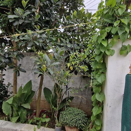 Malgudi Mane Homestay Chikmagalur Bagian luar foto