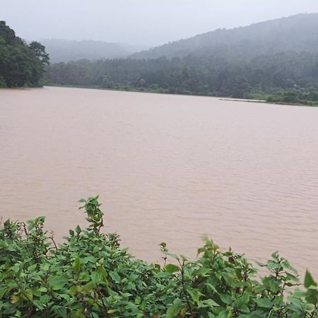 Malgudi Mane Homestay Chikmagalur Bagian luar foto