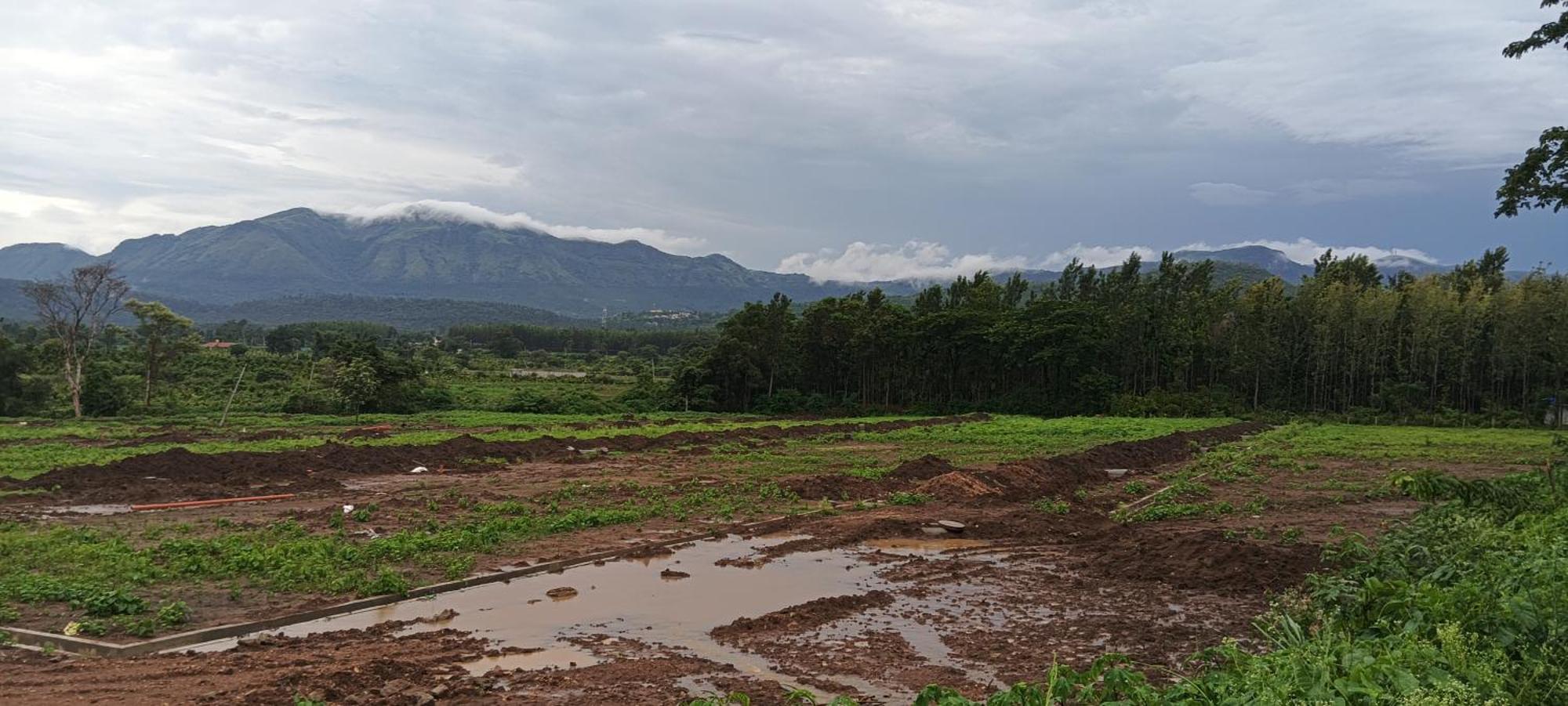 Malgudi Mane Homestay Chikmagalur Bagian luar foto
