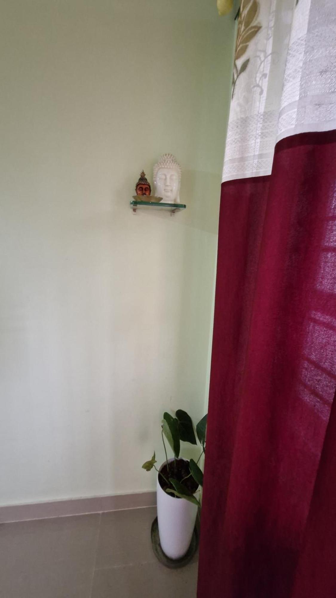 Malgudi Mane Homestay Chikmagalur Bagian luar foto